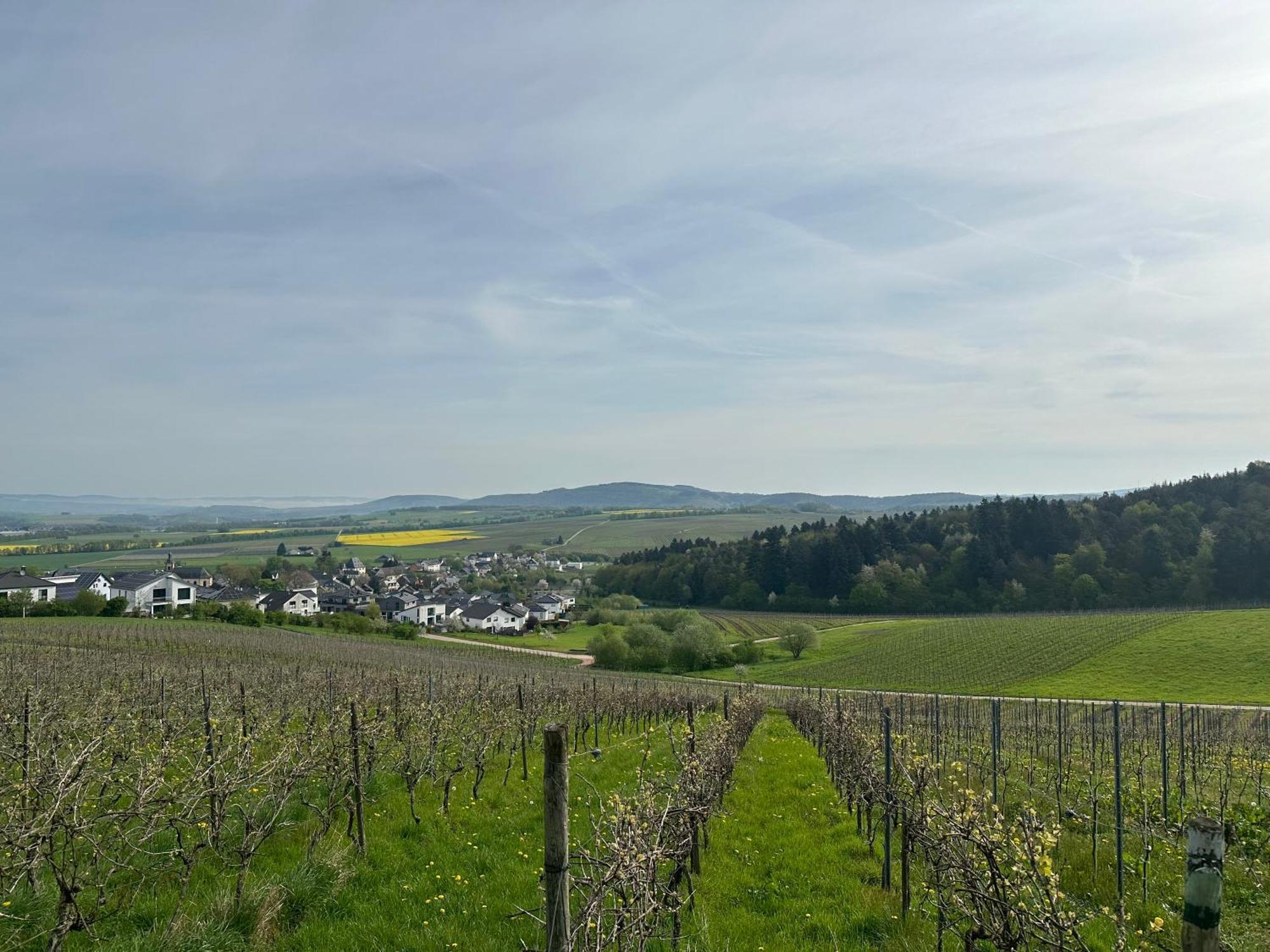 Ferienwohnung Moselherz - Urlaub Im Wein- Und Ferienort Bekond Esterno foto