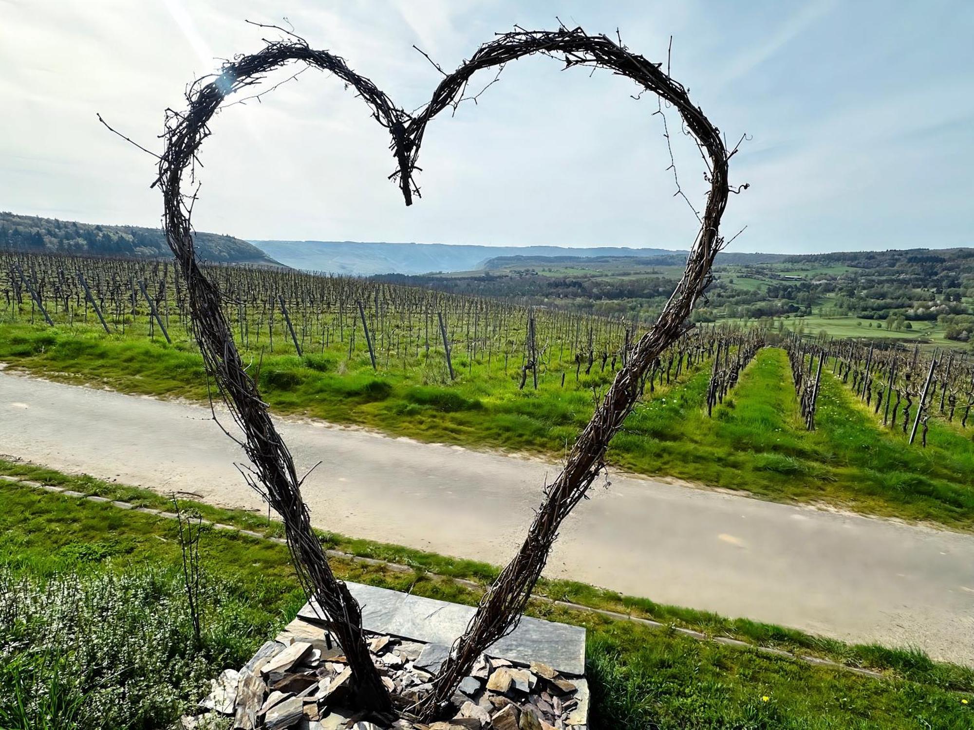 Ferienwohnung Moselherz - Urlaub Im Wein- Und Ferienort Bekond Esterno foto