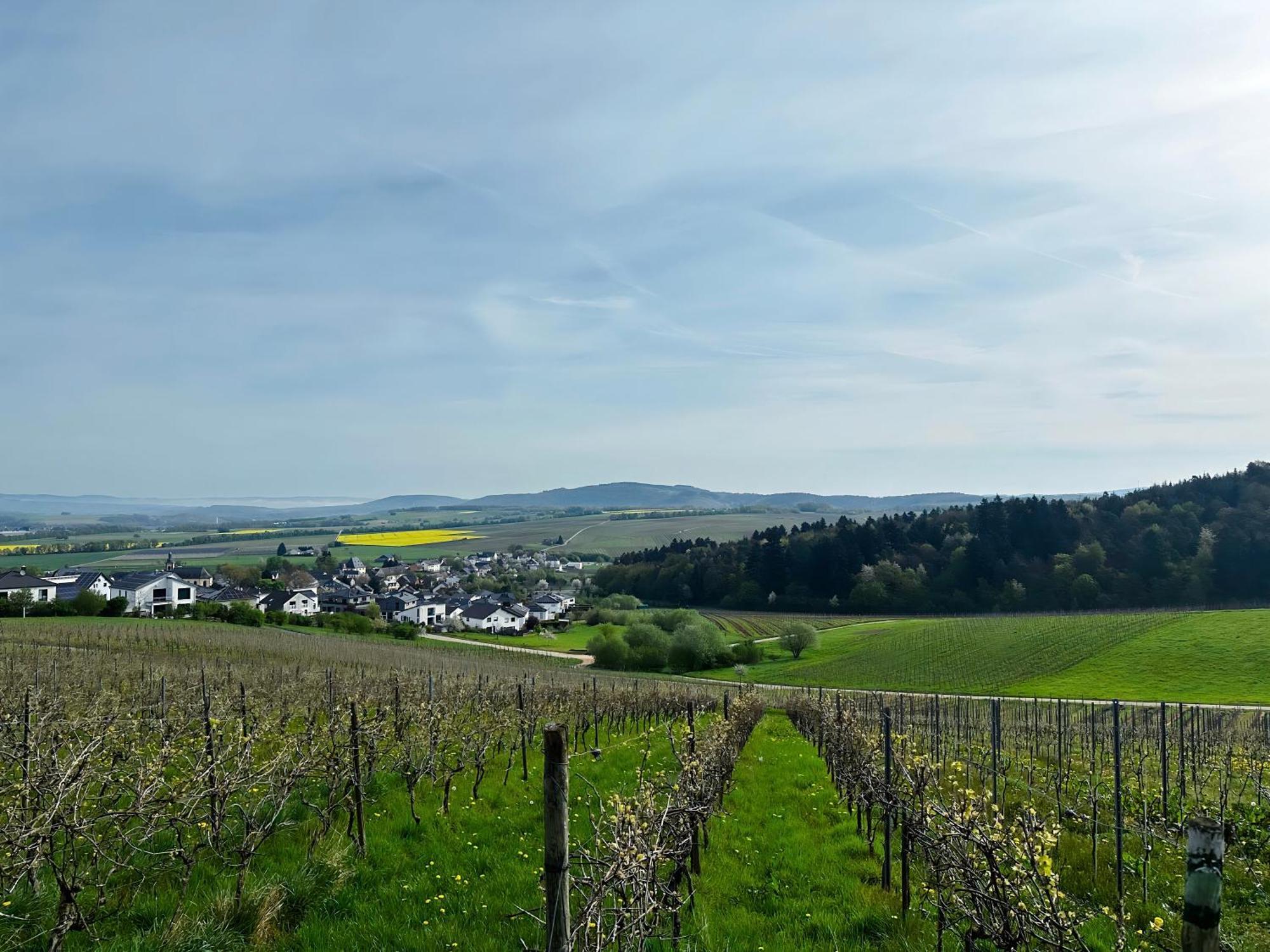 Ferienwohnung Moselherz - Urlaub Im Wein- Und Ferienort Bekond Esterno foto